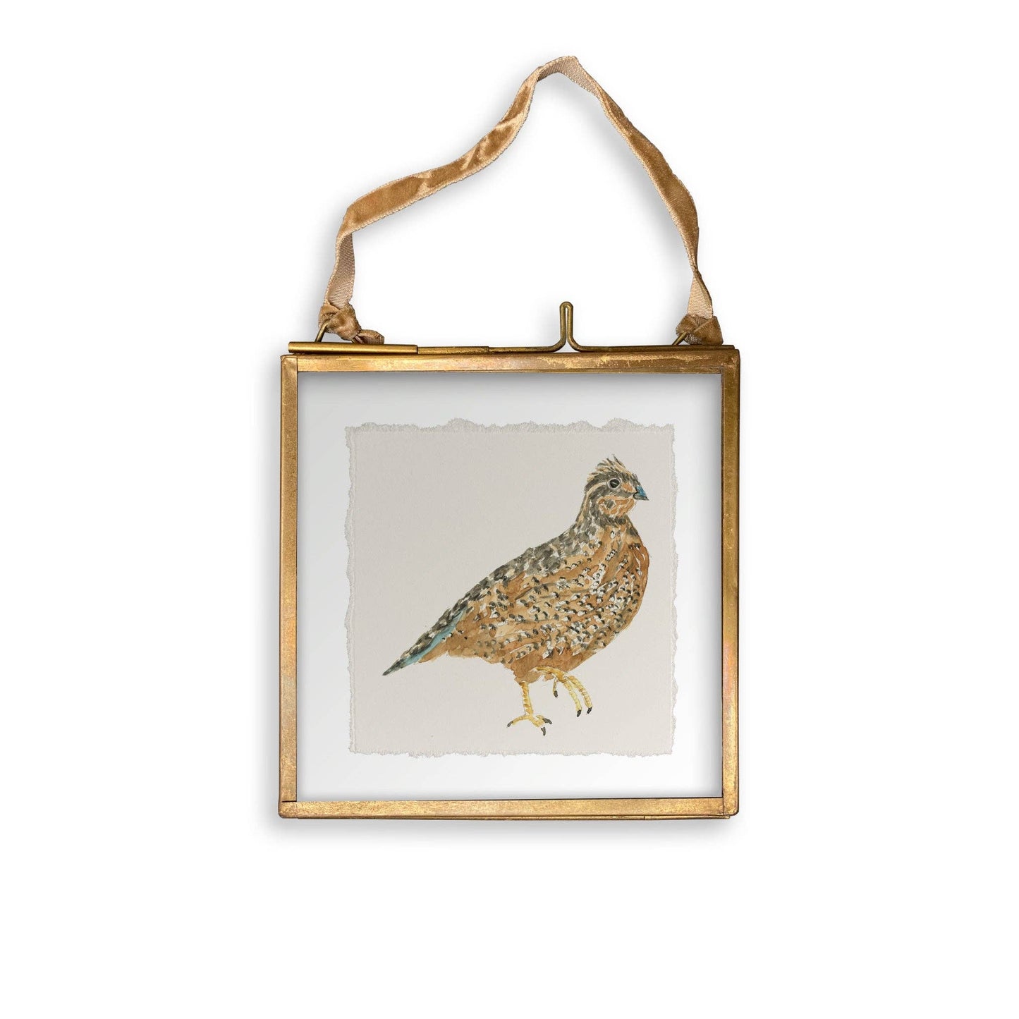 Brown Quail: Dishtowel / -