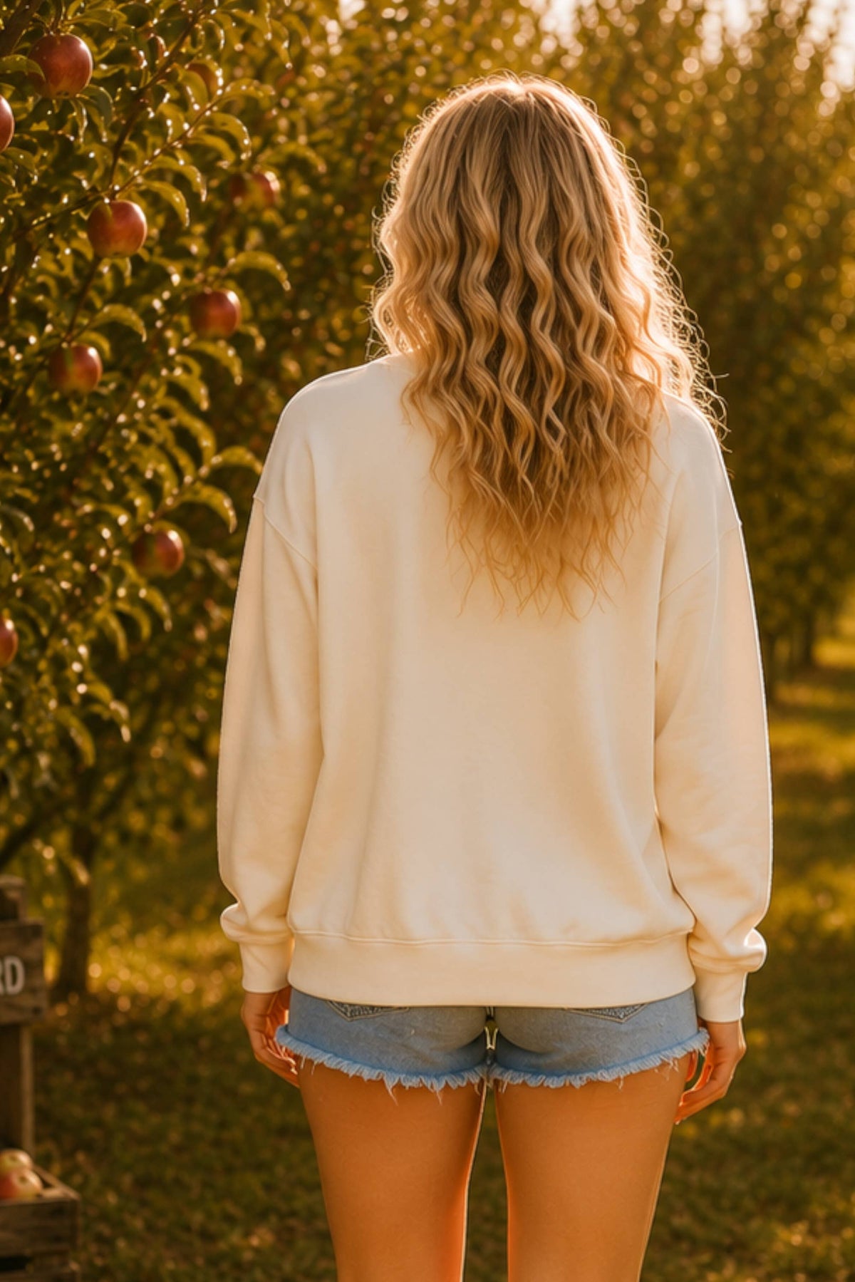 Pumpkin Season Gingham Bow Graphic Sweatshirt: CREAM / S-M-L (2-2-2)