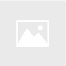 RAMS in Flat Gold w/ Black Bead