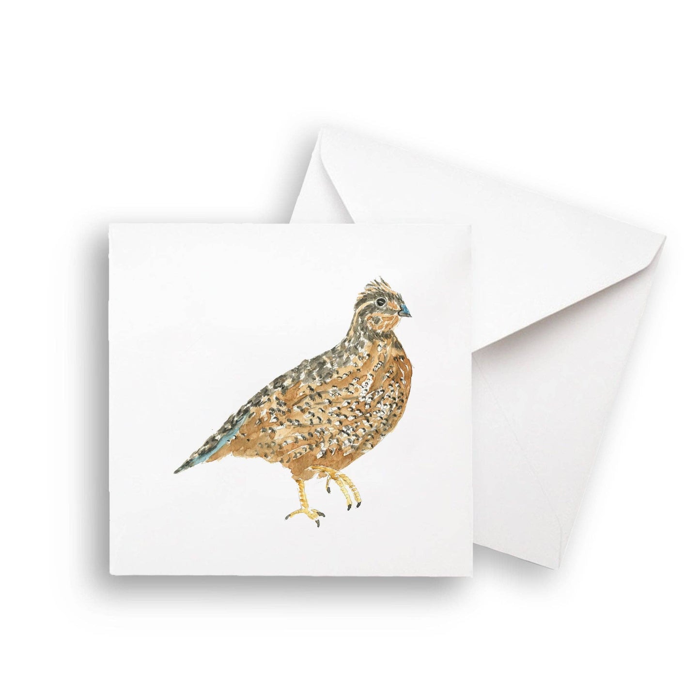 Brown Quail: Dishtowel / -