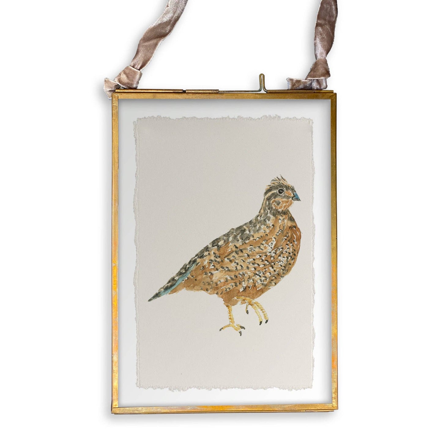 Brown Quail: Dishtowel / -